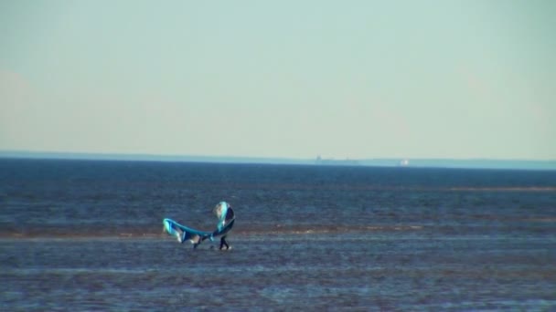 Vindsurfare är på bay — Stockvideo