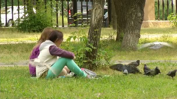 Girl friend feed the pigeons — Stock Video