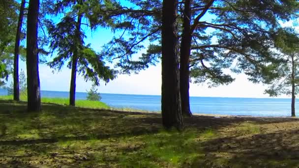 La costa del Golfo hermosa costa, Laguna — Vídeo de stock