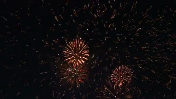 Fuochi d'artificio nel cielo notturno — Video Stock