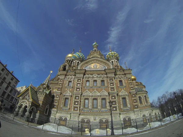 St. Peter ve Paul Kilisesi, Peterhof, Saint Petersburg, Rusya