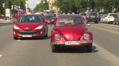 sürücü ve araç böceği