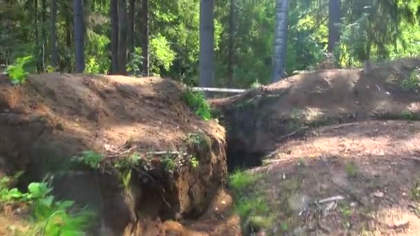 Militär, Schützengraben im Wald — Stockvideo