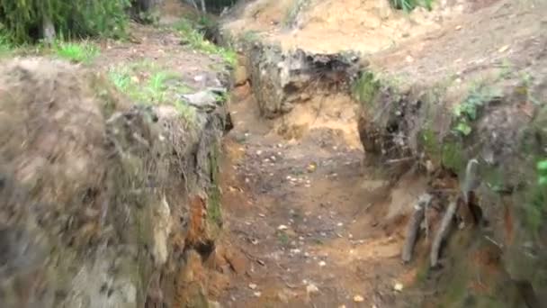 Fuerzas militares, trinchera en el bosque — Vídeo de stock