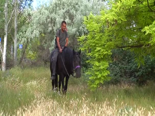 Homem equitação cavalo — Vídeo de Stock