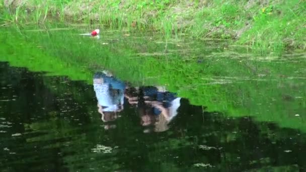 Девушки на берегу реки — стоковое видео
