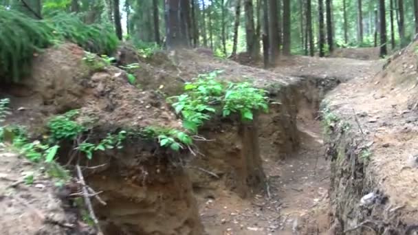 Military forces, trench in the forest — Stockvideo