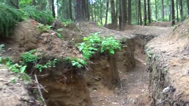 Forces militaires, tranchées dans la forêt 