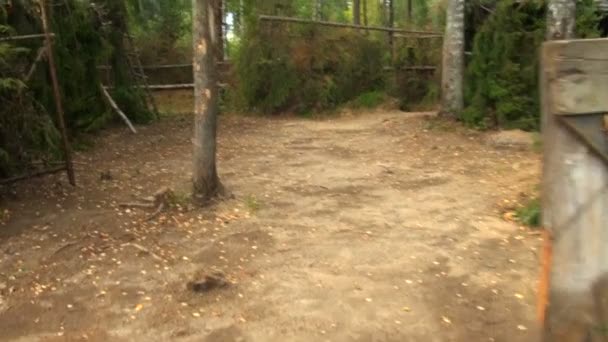 Camp militaire dans les bois 