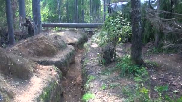 Military forces, trench in the forest — Stockvideo