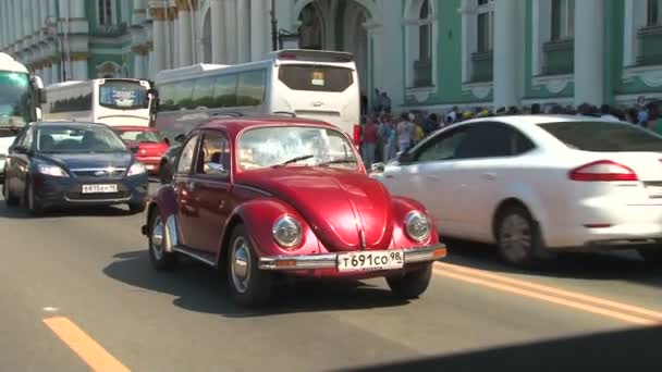 Driver and vehicle beetle — Stock Video