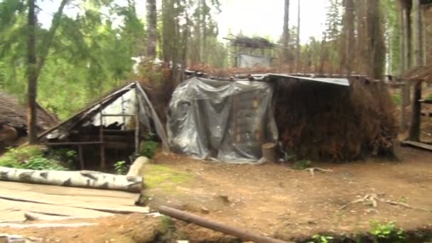 Campamento militar en el bosque — Vídeos de Stock