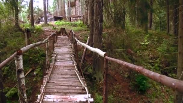 Pont en bois traversant le ruisseau dans la forêt 