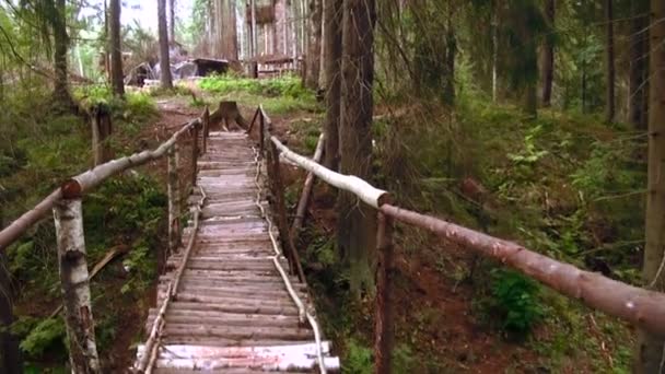 Pont en bois traversant le ruisseau dans la forêt — Video