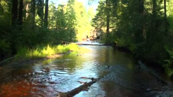 Río de montaña — Vídeo de stock