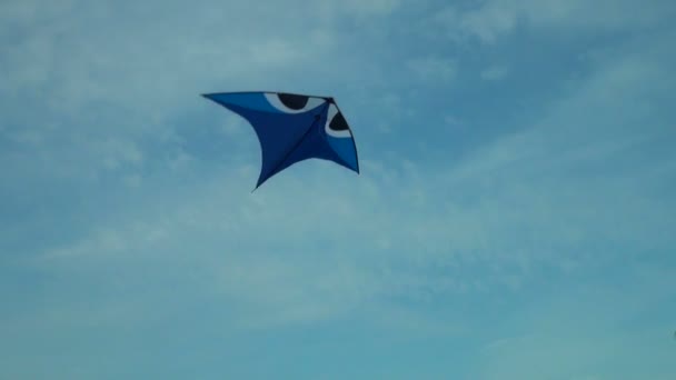 Flying kite in evening sky — Stock Video