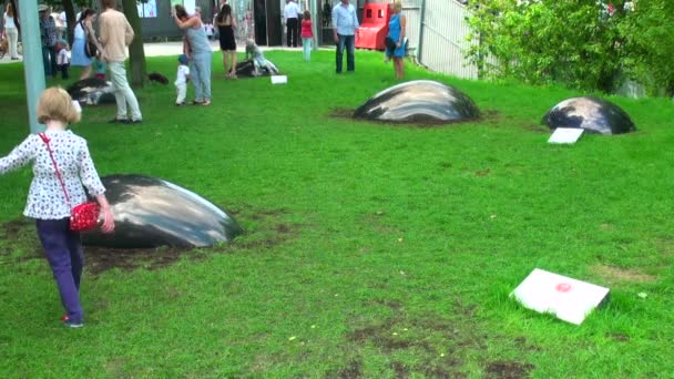 アート オブジェクト。芝生の上半球 — ストック動画