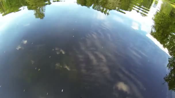 Reflection of trees in the water — Stock Video