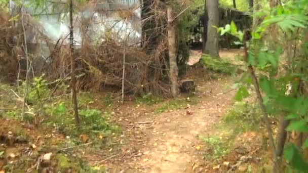 Campamento militar en el bosque — Vídeos de Stock