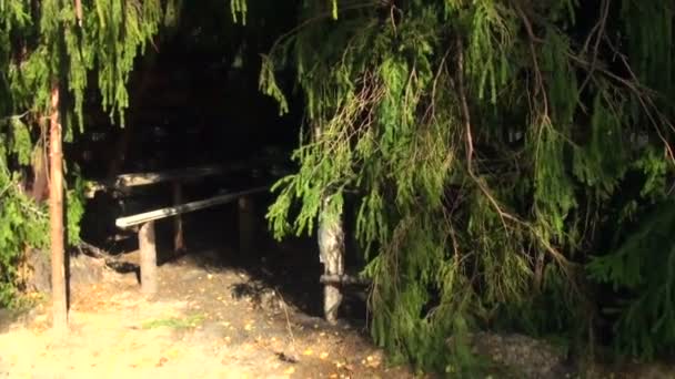 Tienda militar en el bosque — Vídeo de stock