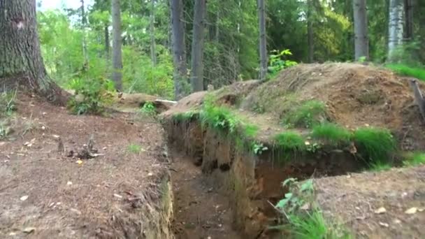 Military forces, trench in the forest — Stockvideo