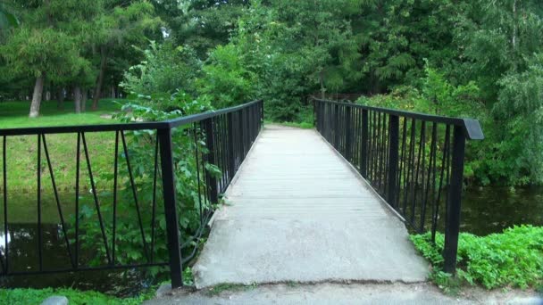 Деревянный мост в парке — стоковое видео