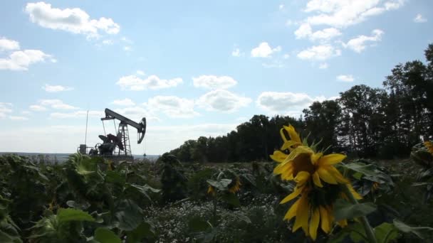 La bomba de aceite en el campo — Vídeos de Stock