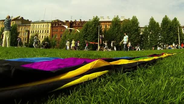 Ludzie odpoczynek w parku lato — Wideo stockowe