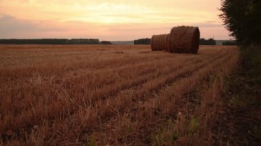 rulo saman alanında