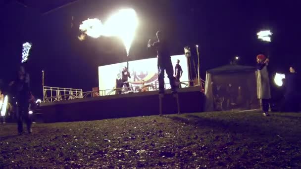 Feuershow im Park — Stockvideo
