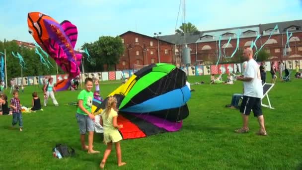 凧を持つ人々 — ストック動画