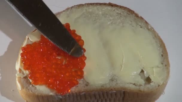 Red caviar — Stock Footage Red caviar Stock Video