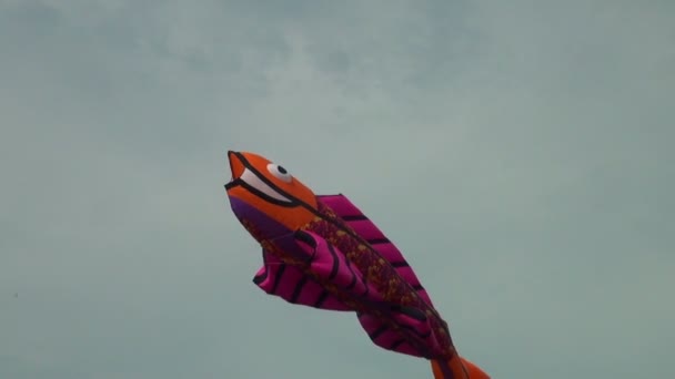 风筝在天空中 — 图库视频影像
