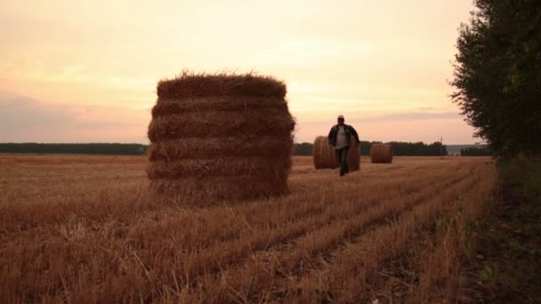 Spel op het veld — Stockvideo