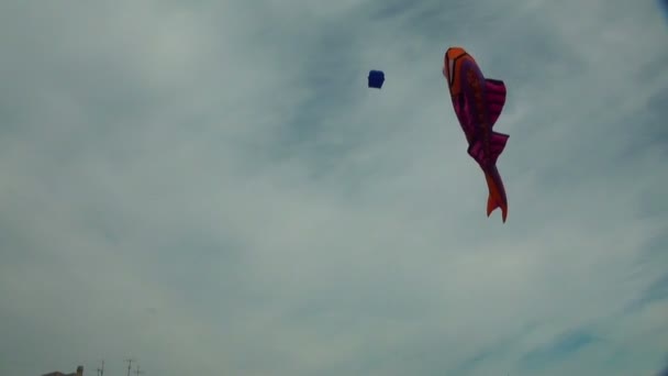 Повітряна куля формі риби — стокове відео