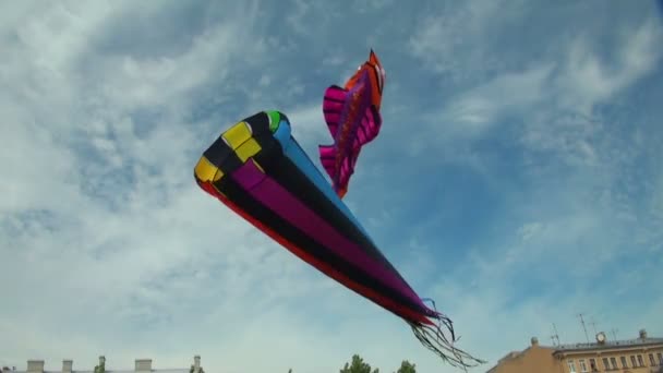 空に凧が — ストック動画