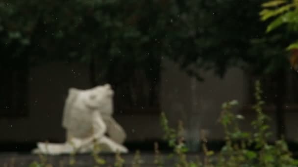 雨的落下 — 图库视频影像