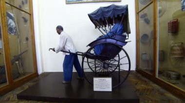 çekçek. kunstkamera. Saint-petersburg.