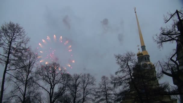 Салют, гілці дерева — стокове відео