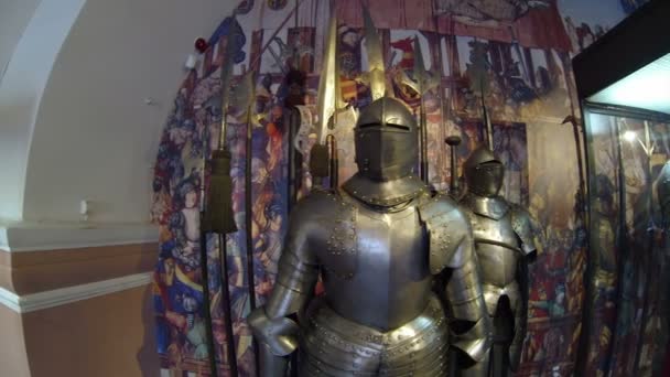 De knight's armor — Stockvideo