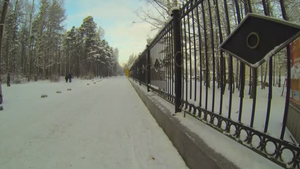 Bosque de invierno. — Vídeos de Stock