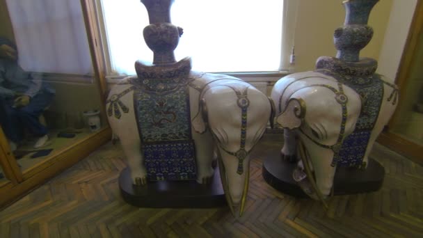 O elefante da porcelana. Kunstkamera . — Vídeo de Stock