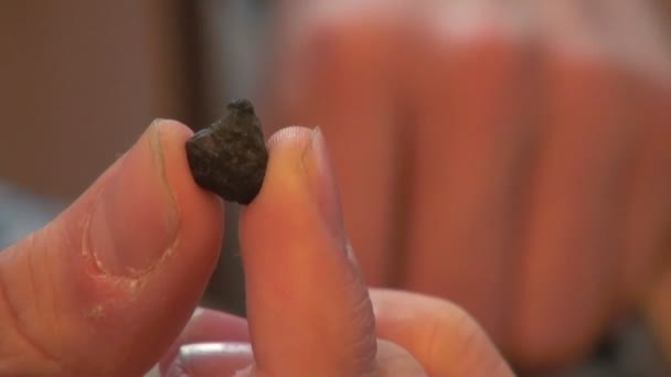 Meteorite in hand — Stock Video