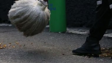 Kapıcı temizlik sokak