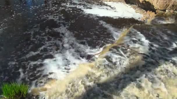 Cachoeira — Vídeo de Stock