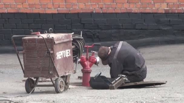 Gefangene gehen auf den Flur — Stockvideo