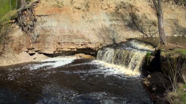 Arroyo forestal que corre sobre rocas musgosas — Vídeo de stock