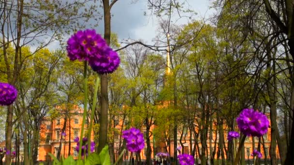 Det Mikhailovskij kejserliga palatset i st petersburg, Ryssland — Stockvideo