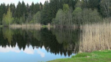 düşük düzey dağ orman Nehri Vadisi uzak wildernes