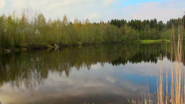 Légifelvételek alacsony szintű hegyi erdő river valley távoli vadonban — Stock videók